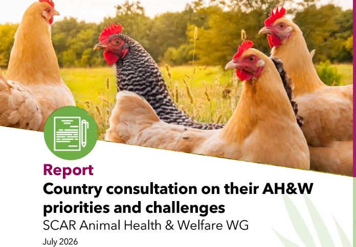 Report: