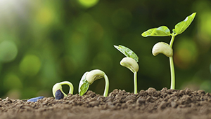 Startup & Scaleup Task Force