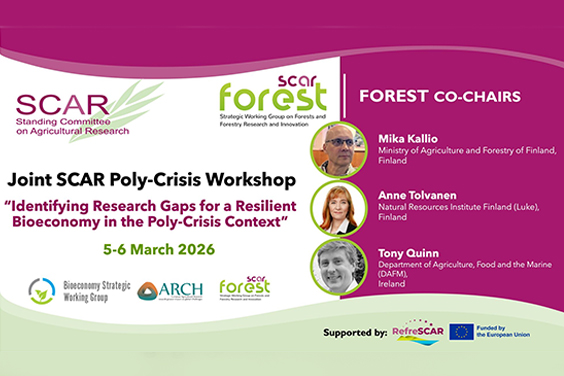 workshop on poly-crisis challenges and resilience perspectives across the forest and bioeconomy sectors