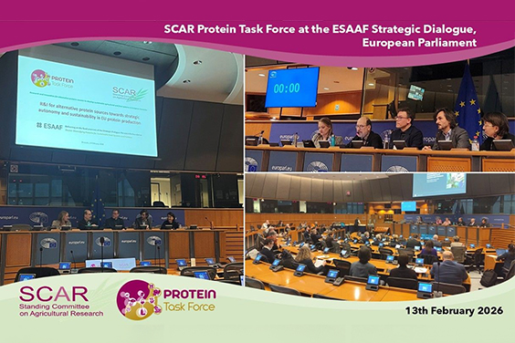 Potein-TF_European Parliament