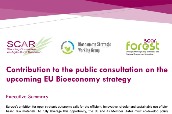 Bioeconomy SWG