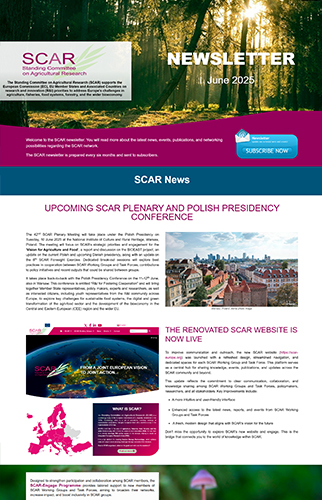 newsletter june 2025