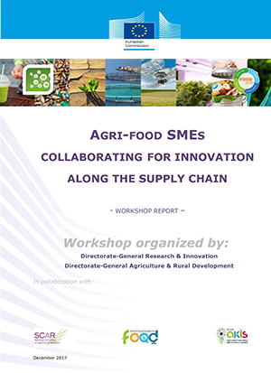 Workshop REPORT Agri food SMEs Dec 2017