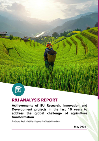 ARCH SWG - R&I ANALYSIS REPORT ARCH RI ANALYSIS REPORT may 2025