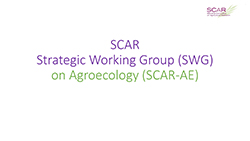 SCAR AE presentation