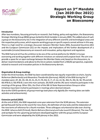 Report on 3rd Mandate - Strategic Working Group on Bioeconomy (Jan 2020-Dec 2022)