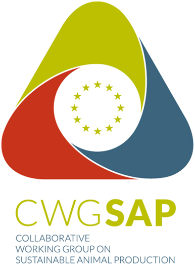 Logo CWG SAP