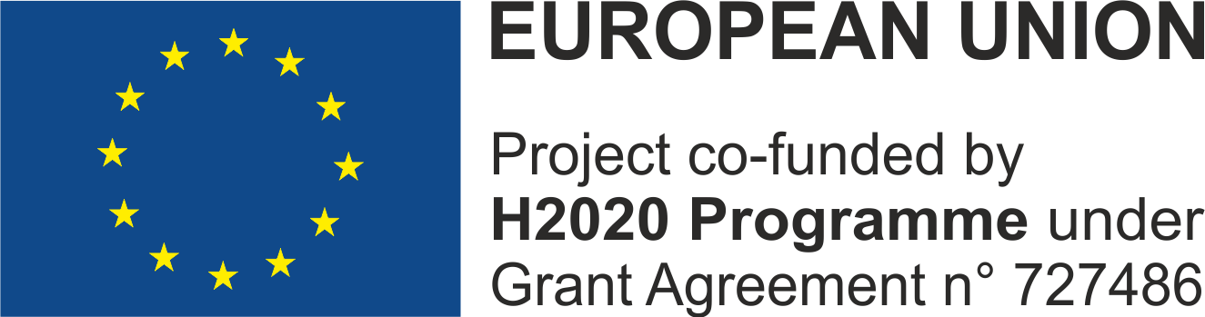 EC logo H2020 Programme