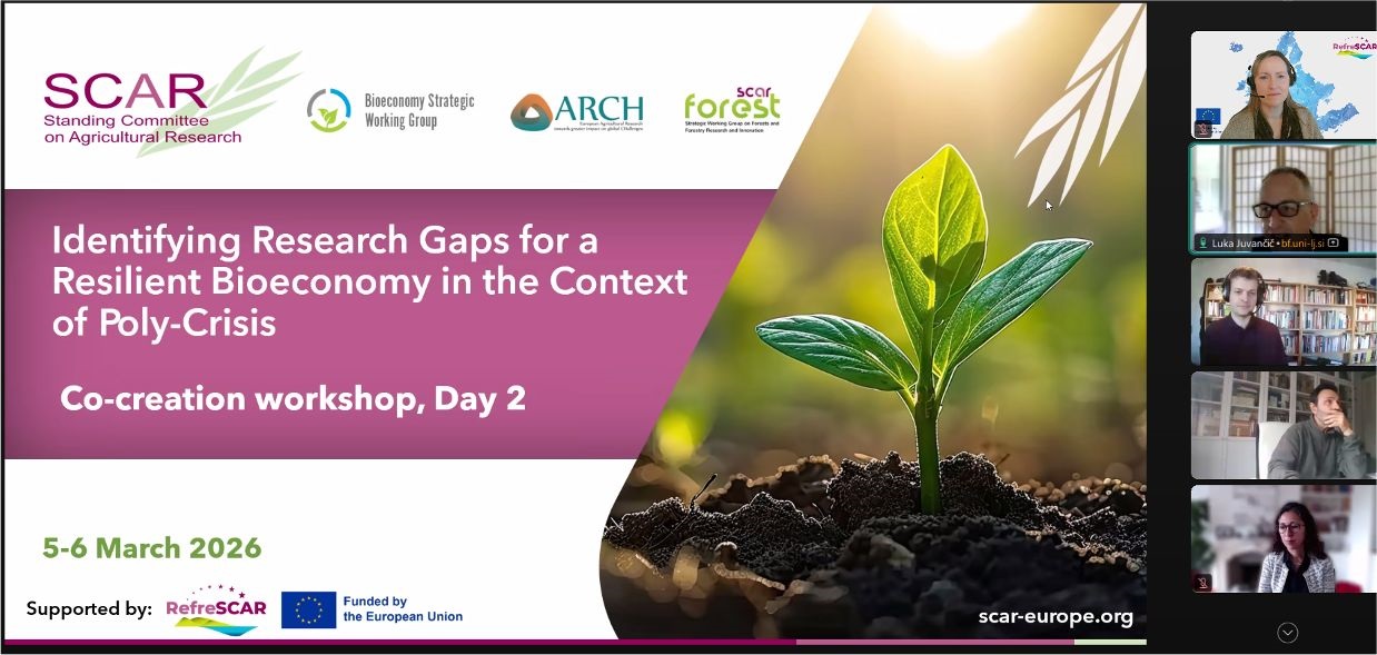 Online Workshop - Identifying Research Gaps for a <br>Resilient Bioeconomy in the Poly-Crisis Context