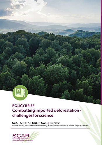 Policy brief Combatting imported deforestation