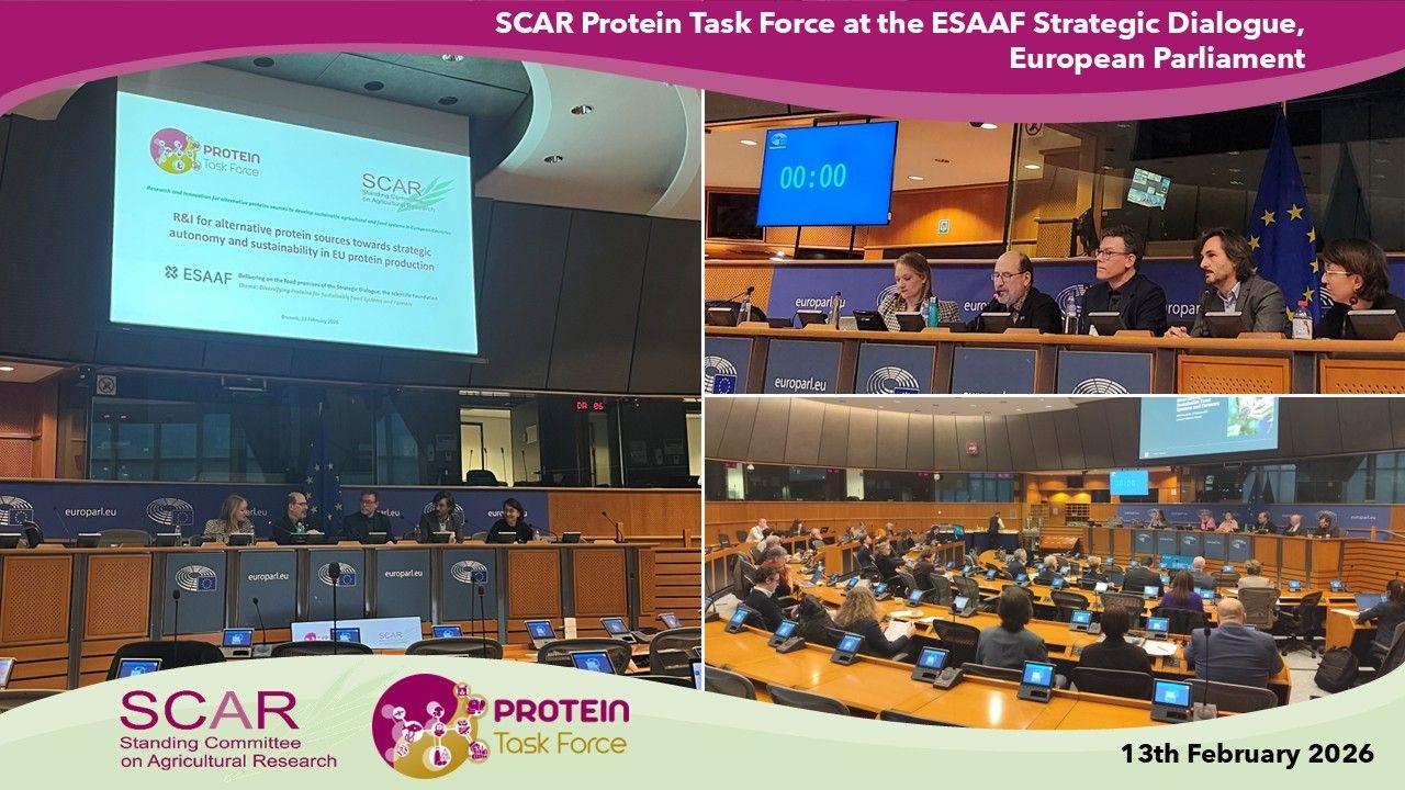 Protein TF European Parliament