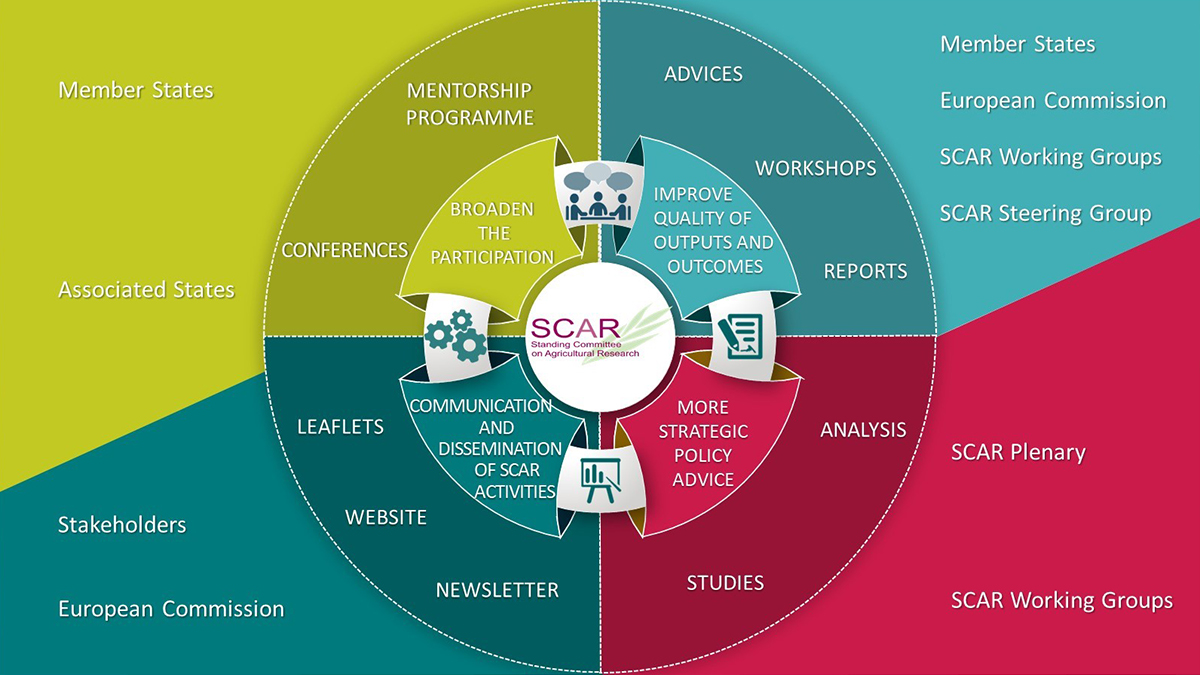 Infographic: Overview of communication and dissemination