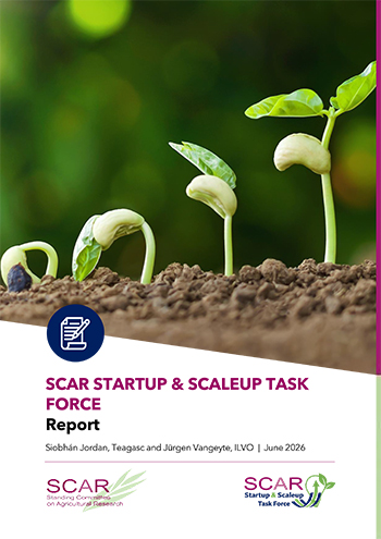 SUSU TF Report june2026