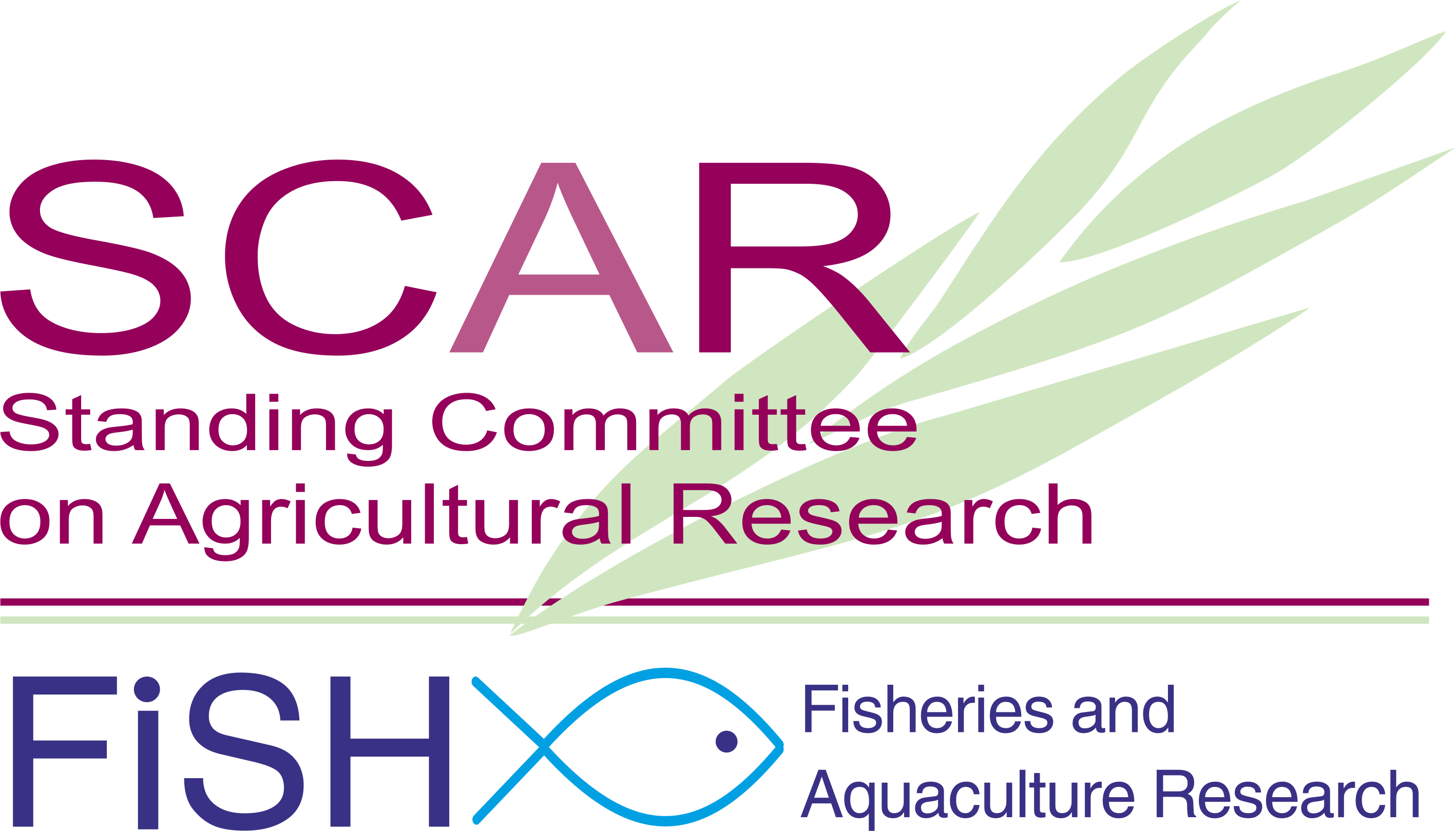 logo SCARFish