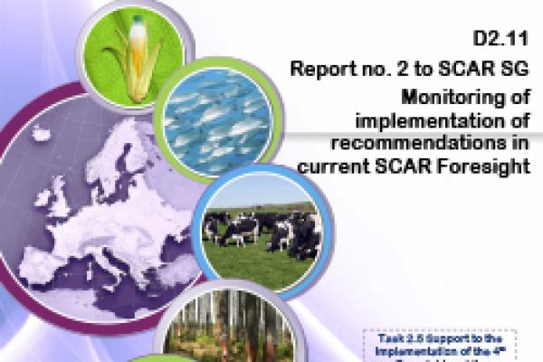 Deliverable 2.11 - Report Nr. 2 to SCAR SG Monitoring of implementation of recommendations in current SCAR Foresight