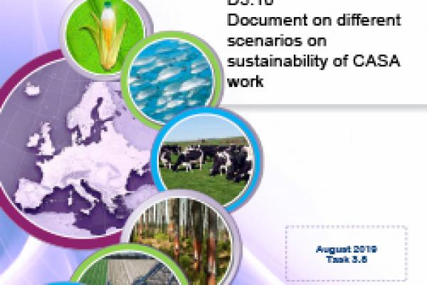 Deliverable 3.10 - Document on different scenarios on sustainability of CASA work