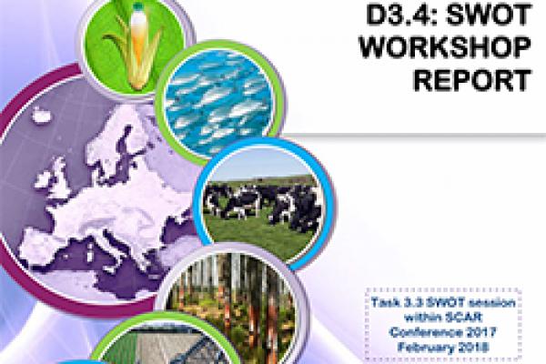 Deliverable 3.4 - SWOT Conference Report