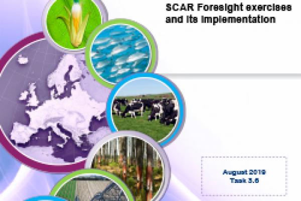 Deliverable 3.7 - Guideline on a structure for the future SCAR Foresight exercises and its implementation