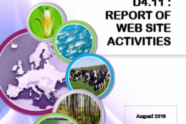 Deliverable 4.11 - Report of Website activities