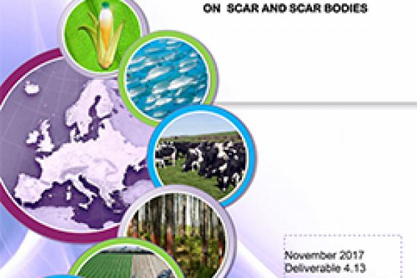 Deliverable 4.13 - Report of published leaflets on SCAR and SCAR bodies
